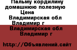  Пальму-кордилину домашнюю полезную › Цена ­ 1 300 - Владимирская обл., Владимир г.  »    . Владимирская обл.,Владимир г.
